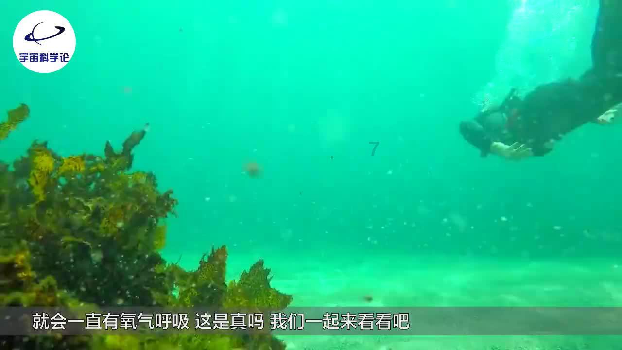 大脚车狂飙赛